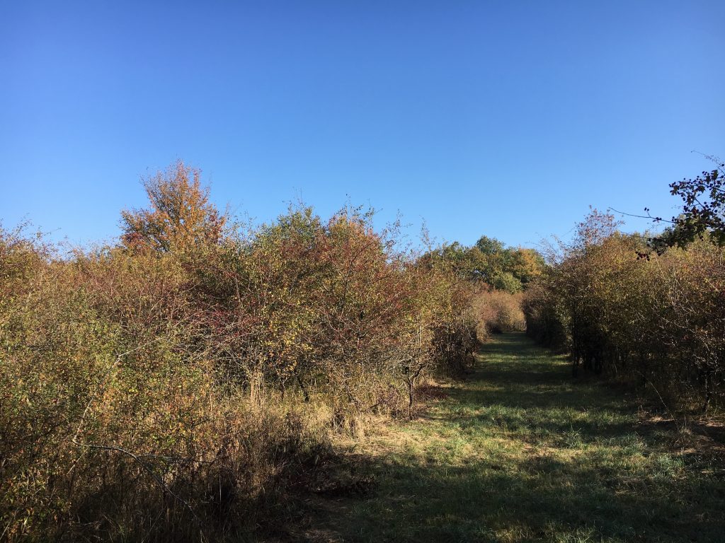 Haute-Marne : ils disent non au parc photovoltaïque de Saints-Geosmes