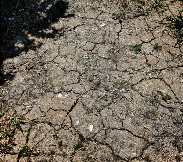 54 : L’alerte sécheresse déclarée sur toute la Meurthe-et-Moselle