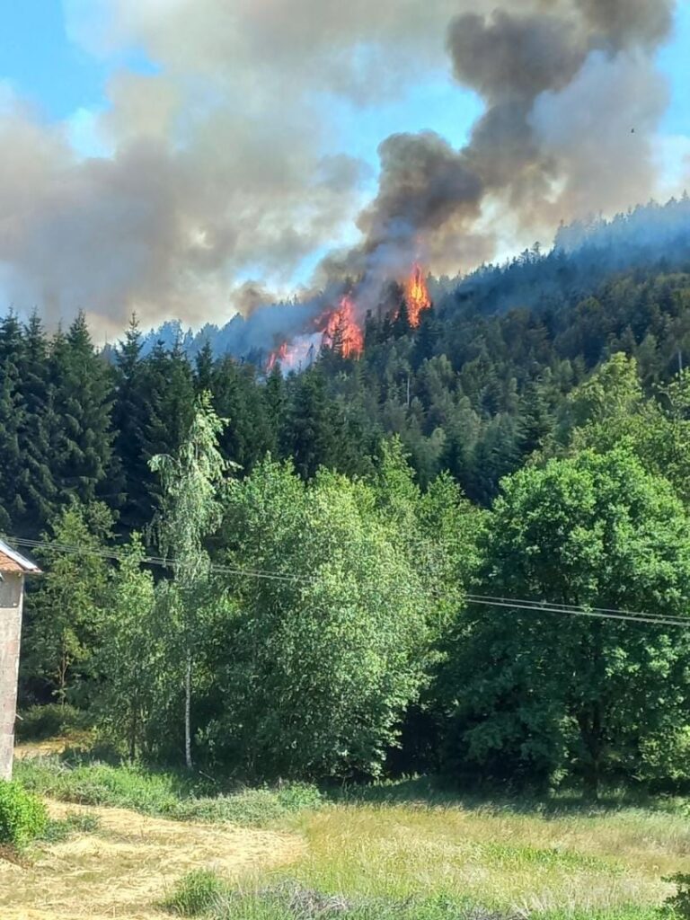 Vosges : l’incendie de Bois-de-Champ, qui a brûlé 30 hectares, est d’origine criminelle