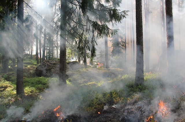 Le Ménil se souvient… Un an après les ravages des flammes dans les Vosges