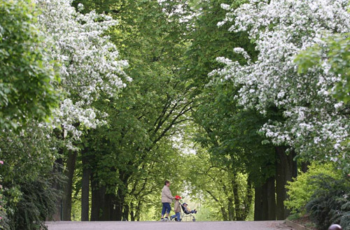 Pépinière en vert revient à Nancy ce week-end