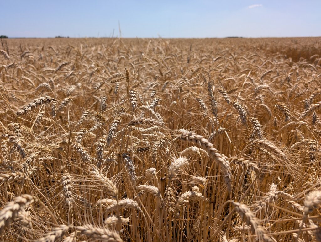 Plus d’1 200 000 signatures contre la loi Duplomb-Menonville