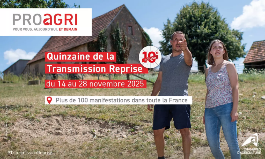 10ᵉ Quinzaine de la Transmission-Reprise : le Grand Est se mobilise jusqu’au 28 novembre
