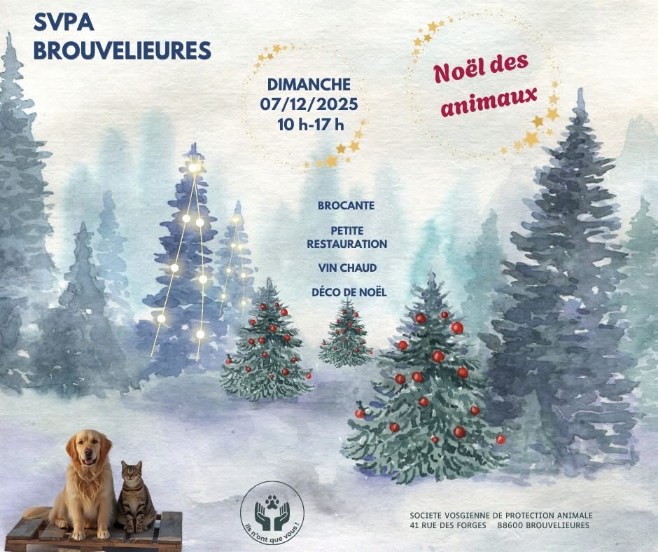 NOËL DES ANIMAUX À BROUVELIEURES