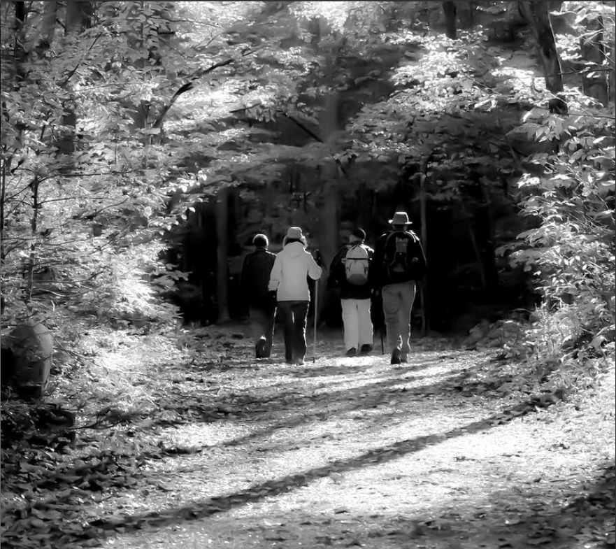 MARCHE DE NUIT à WASSELONNE